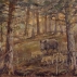 Wild_zwijn_met_big